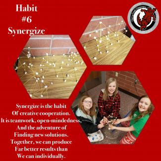 Habit #6:  Synergize