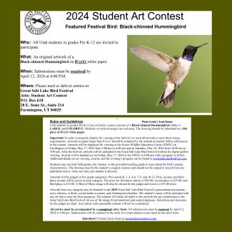 Great Salt Lake Bird Festival Art Competition