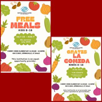 Free Summer Lunches for Cherry Creek Students